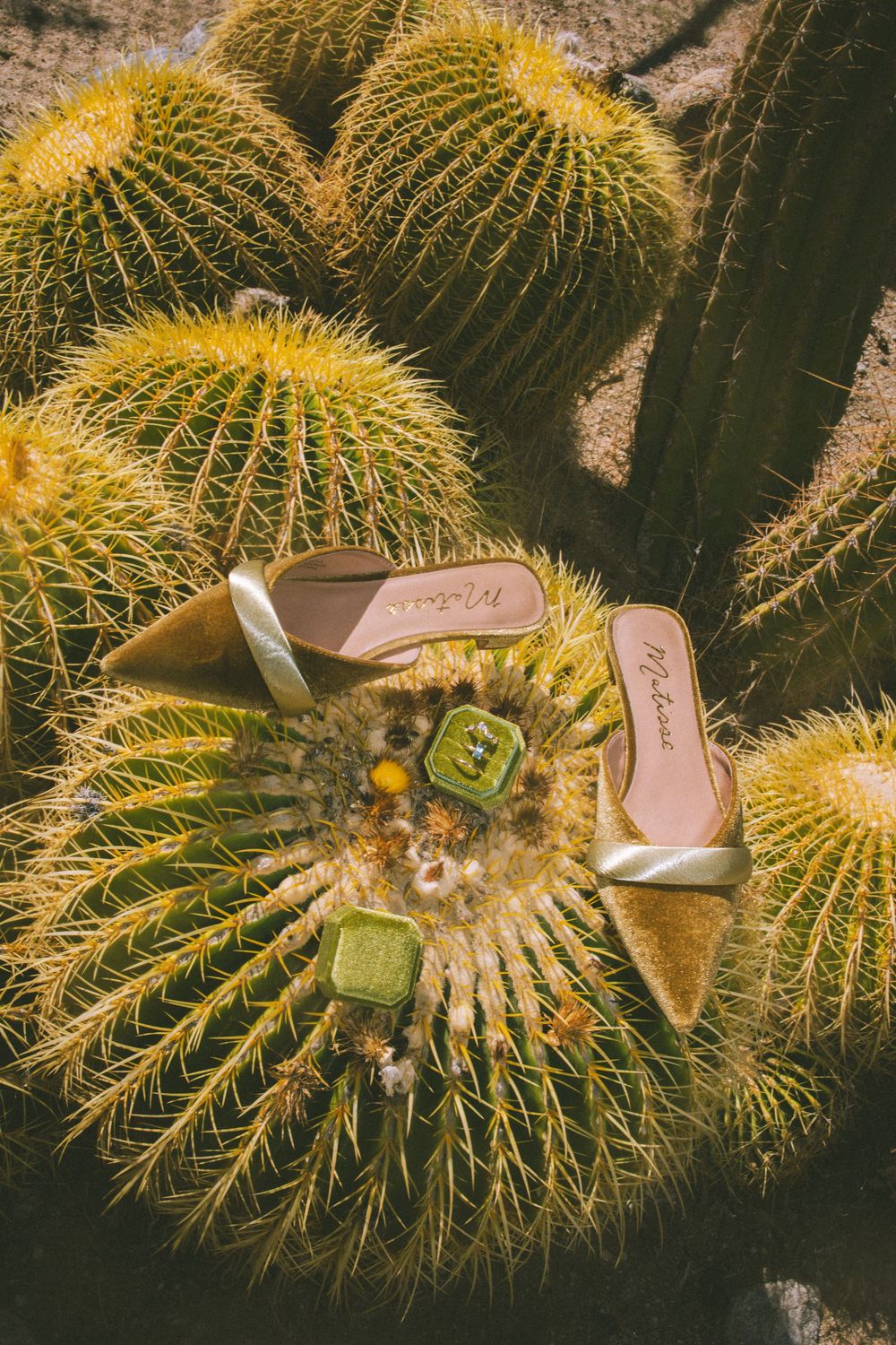 Joshua Tree National Park in Southern California wedding