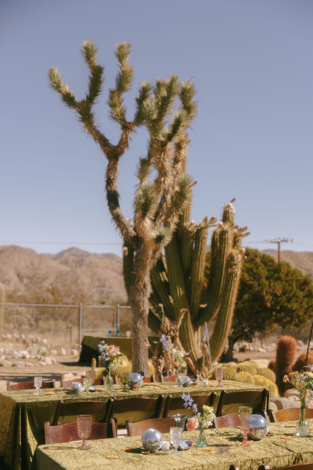 Joshua Tree National Park in Southern California wedding