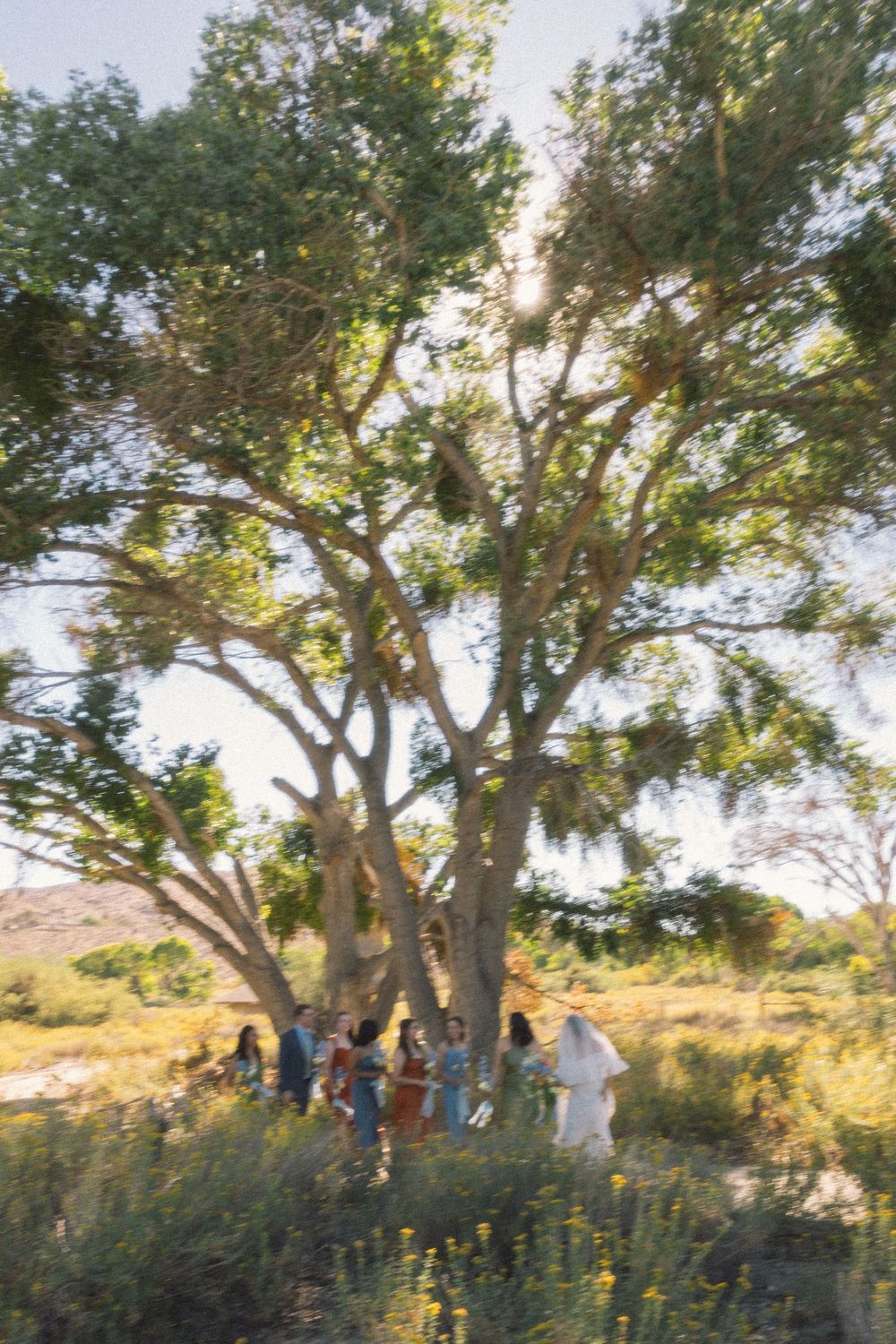 Joshua Tree National Park in Southern California wedding
