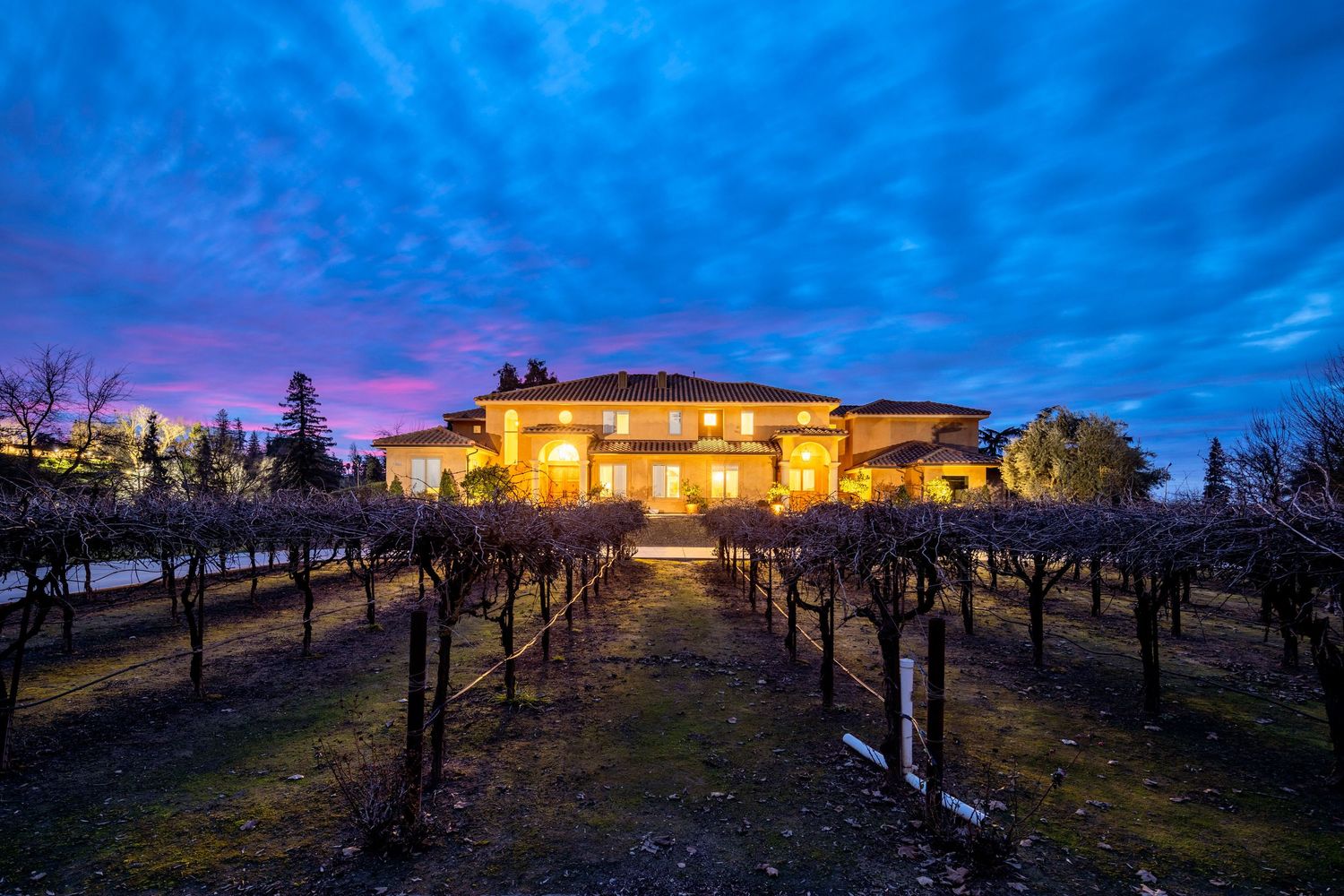 A winery estate illuminated at sunset with dramatic purple and blue sky over the vineyard rows.