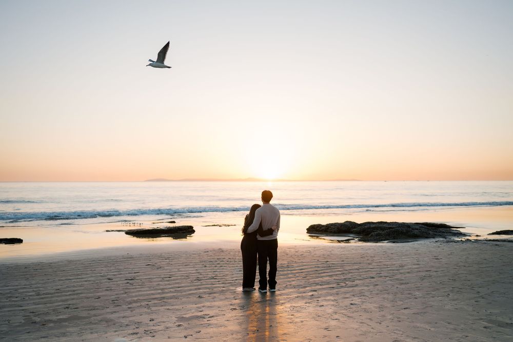 Silhouettes of people and seabirds against a golden sunset over the Pacific Ocean.