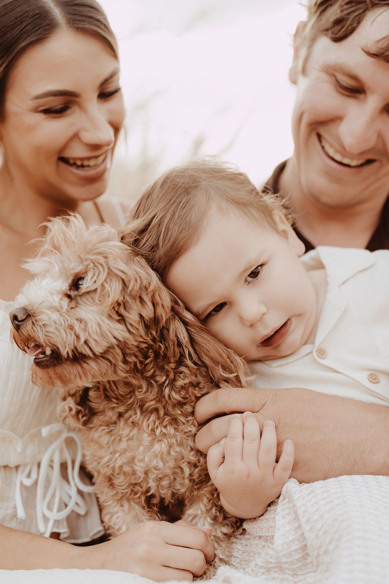 A series of warm-toned photos showing tender moments between people and a small fluffy dog.