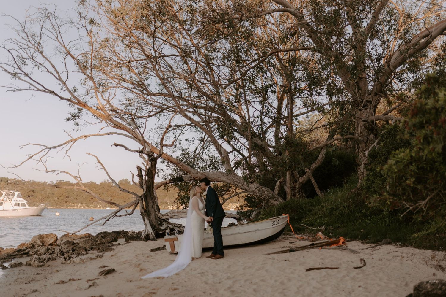 A panoramic view of a beach shoreline with bare trees and driftwood scattered along the sandy coast.