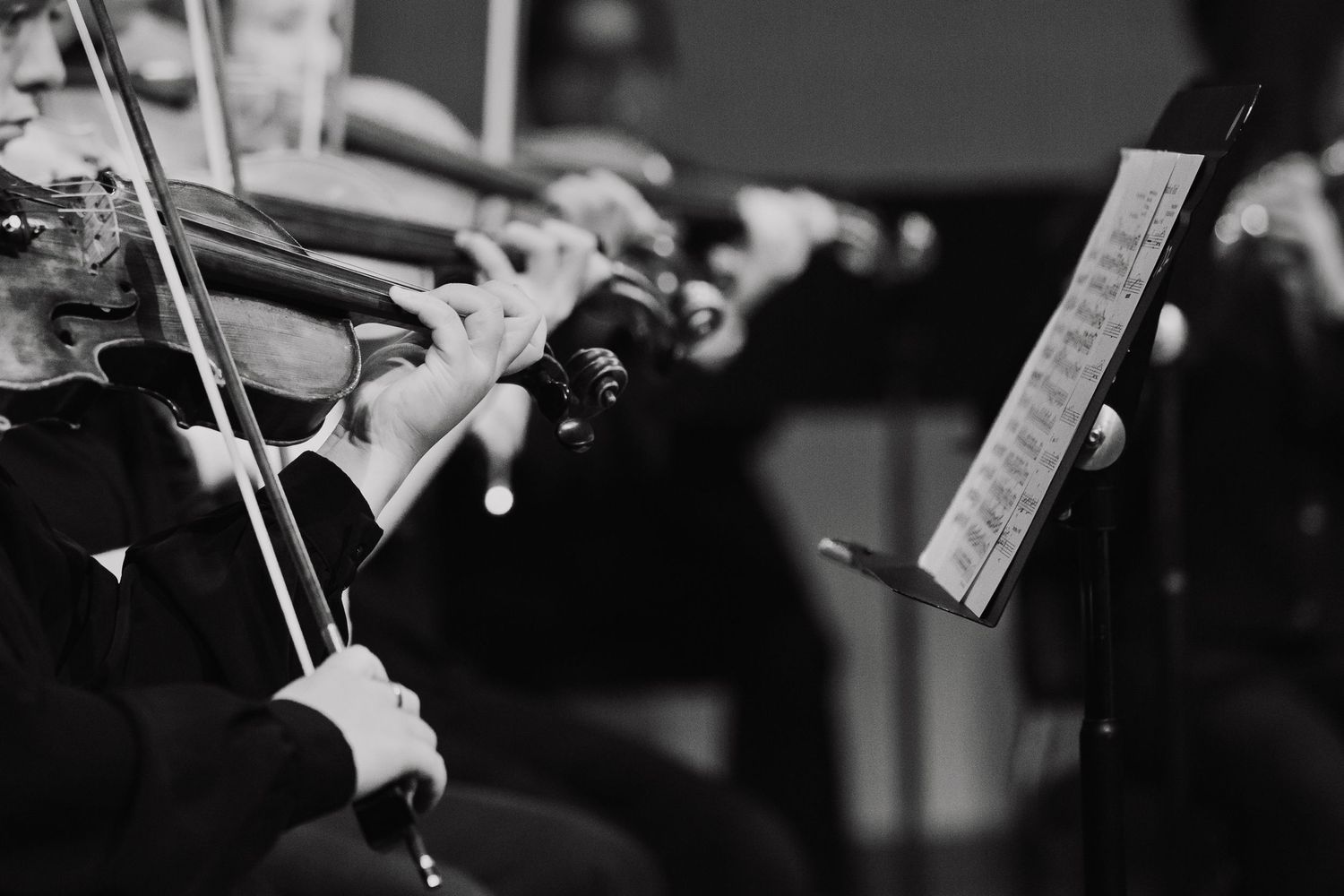 Close-up shot of hands playing violin strings in black and white photography.