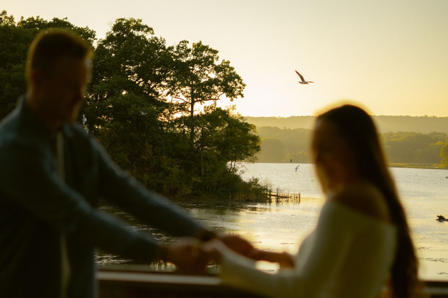 Sunset lakeside engagement session at Princess Point, Hamilton — silhouetted couple holding hands by the water with a bird flying overhead.