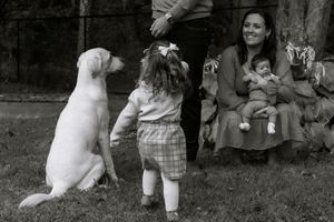 Candid family photo in a Hamilton backyard with a toddler and dog — documentary-style lifestyle photography.