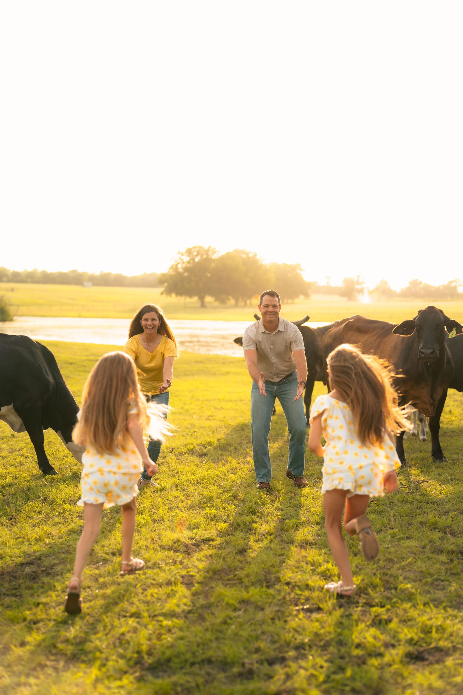 Woman in denim vest smiles while petting a brown horse in a sunny field with yellow flowers.