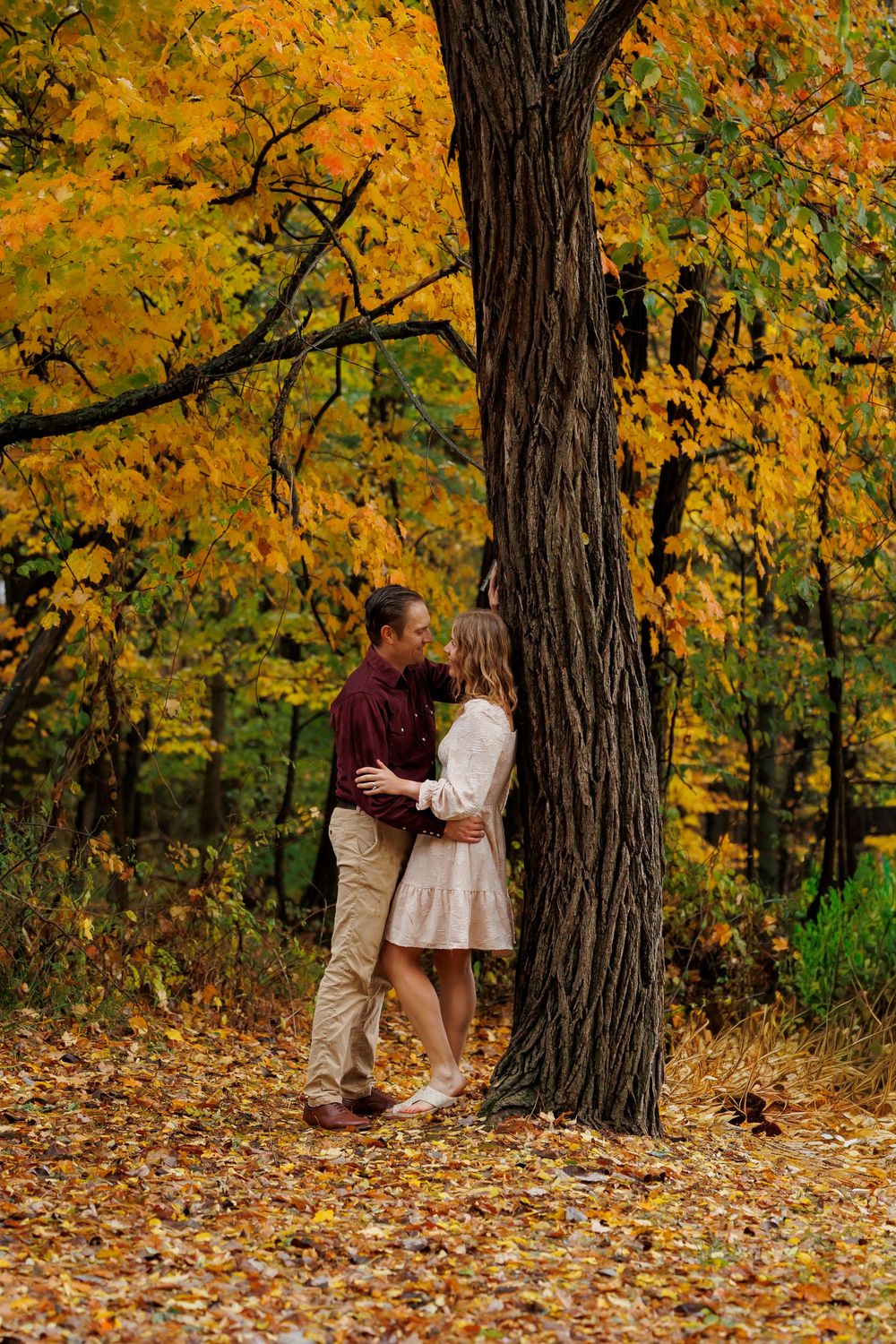 A romantic autumn scene with a couple embracing by a large tree trunk surrounded by golden fall foliage.