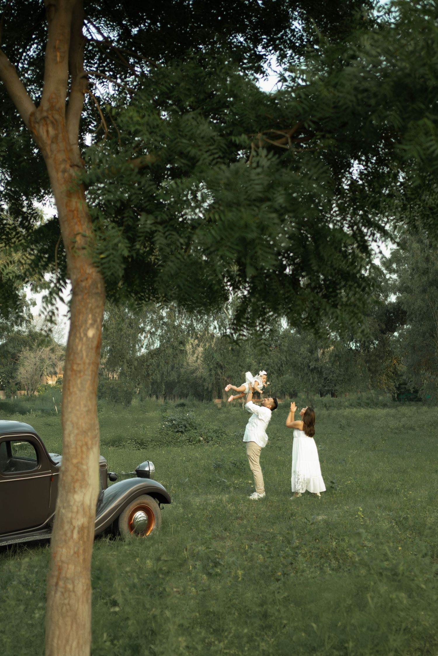 Vintage scene of people in a grassy field next to an old car, photographing under a large tree in summer.