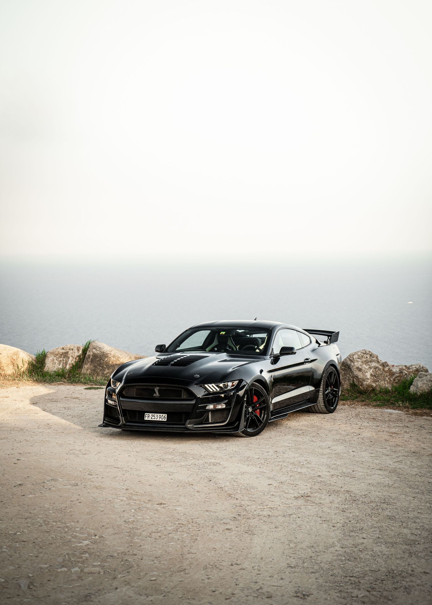Daniel-Michaud-Photographie-DMPhotography-Automobile-Auto-Cars-Automotive-Monaco-Shelby-GT500