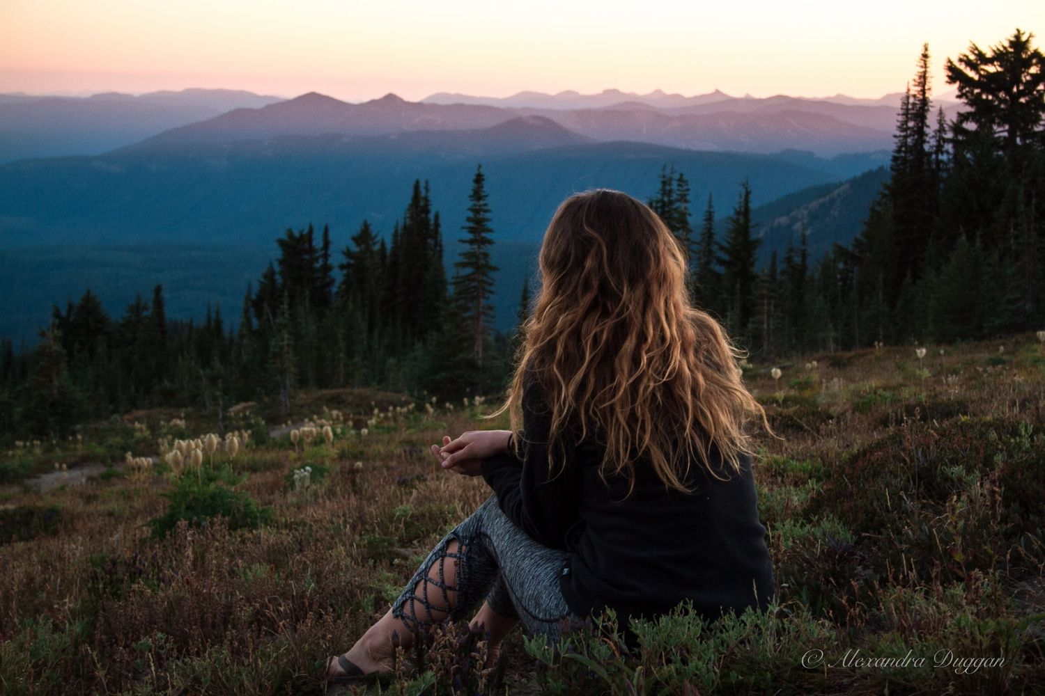 Mountain landscape panorama at dusk with silhouetted trees against purple sky.
