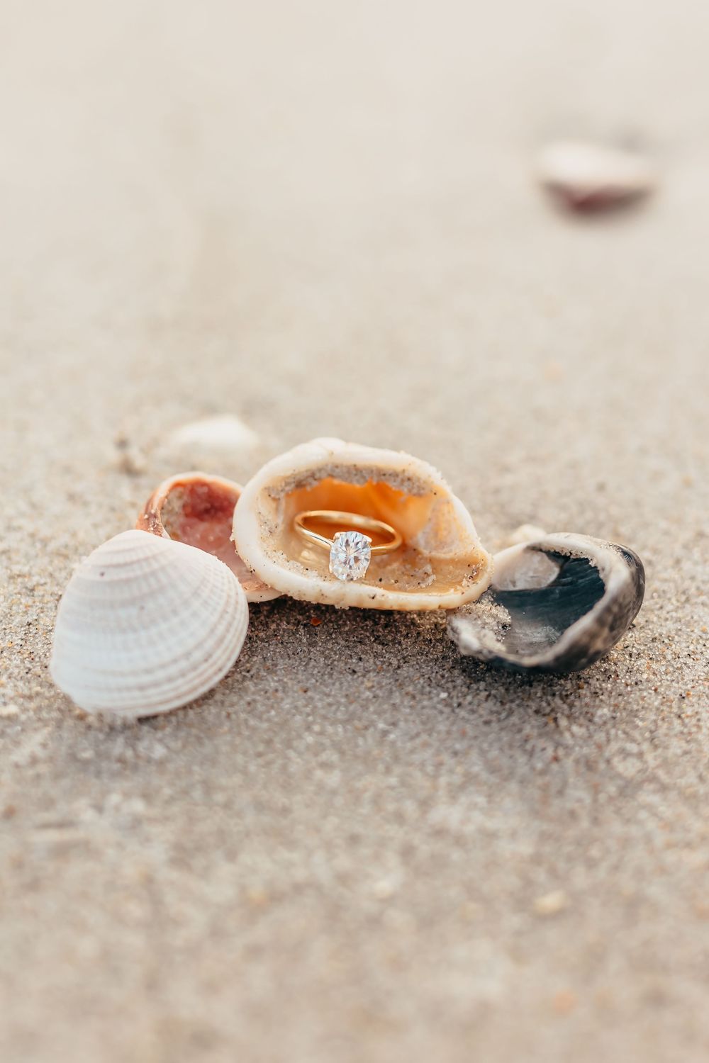 Engagement ring nestled among seashells on sandy beach. Wilmington NC. Wrightsville beach.