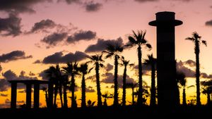 Dramatic silhouette of palm trees and pillars against a pink and orange sunset sky. El Faro by Guaycura.