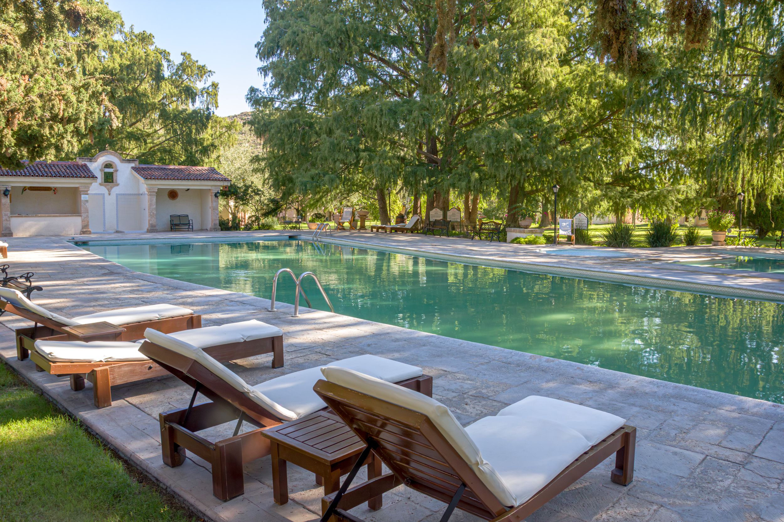 Luxurious poolside lounge chairs surrounded by lush greenery in upscale resort setting. Rincon del Montero.