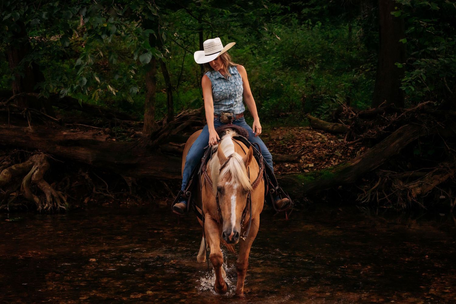 Ranch, sorting cows,
