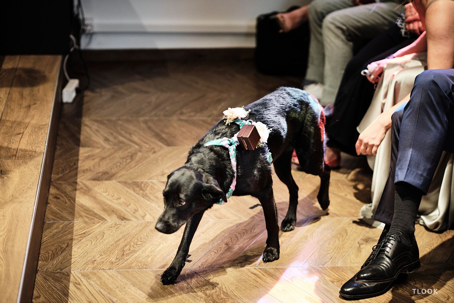 TLOOK photographe de mariage de style documentaire, au royalp de villars cérémonie religieuse le chien apporte les alliances