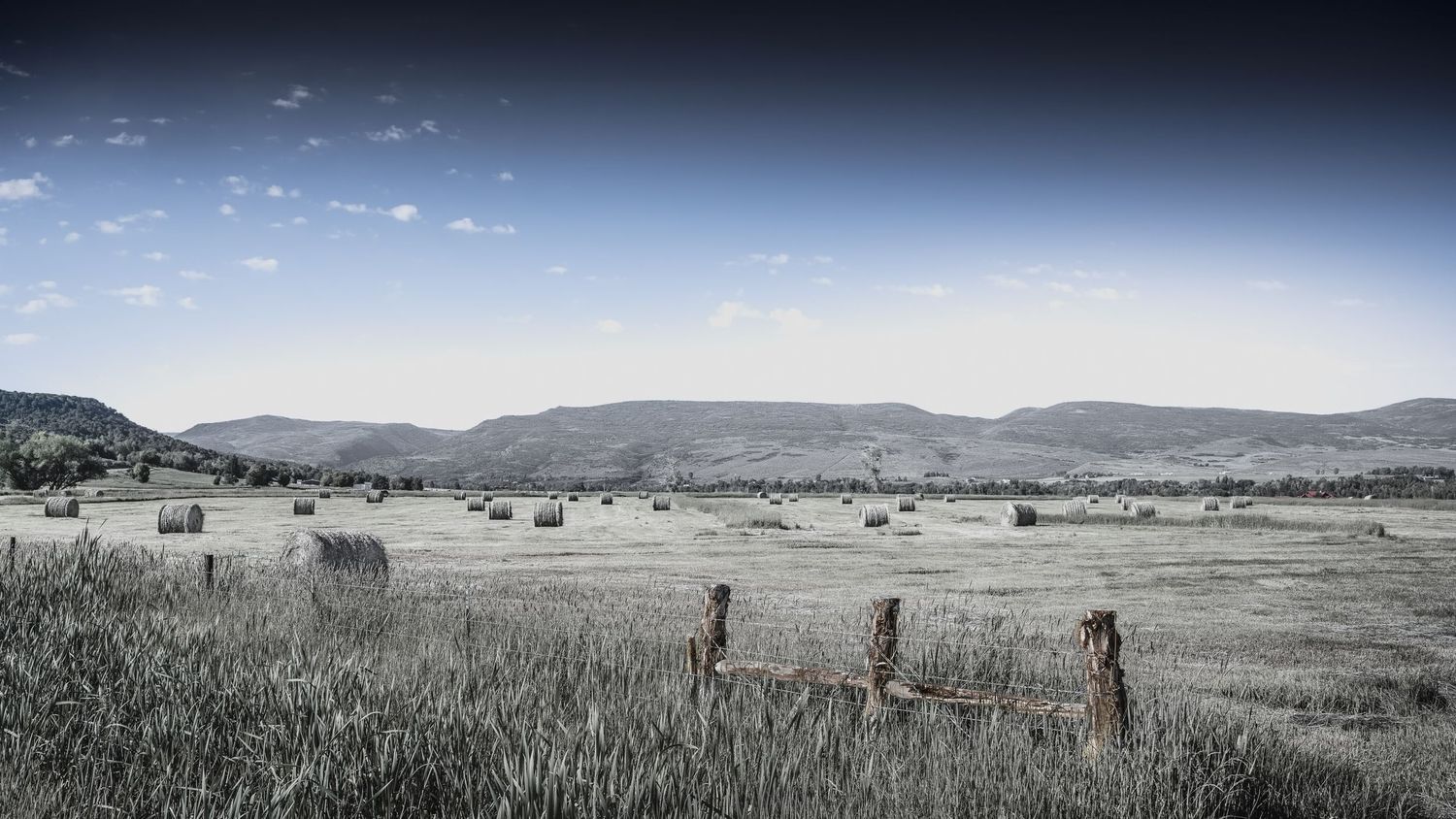 Rolling hills and grasslands stretch into the distance under a dramatic sky in this monochromatic rural landscape.