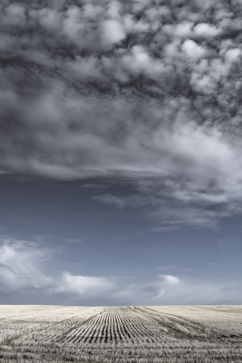 Harvested agricultural field with neat rows under dramatic cloudy sky.