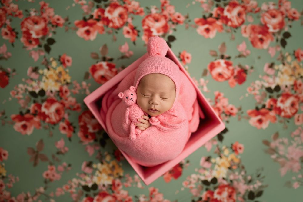 Newborn baby sleeping in pink box wrapped in pink swaddle with teddy bear on floral green background. -- Sara Prue Photography Denver