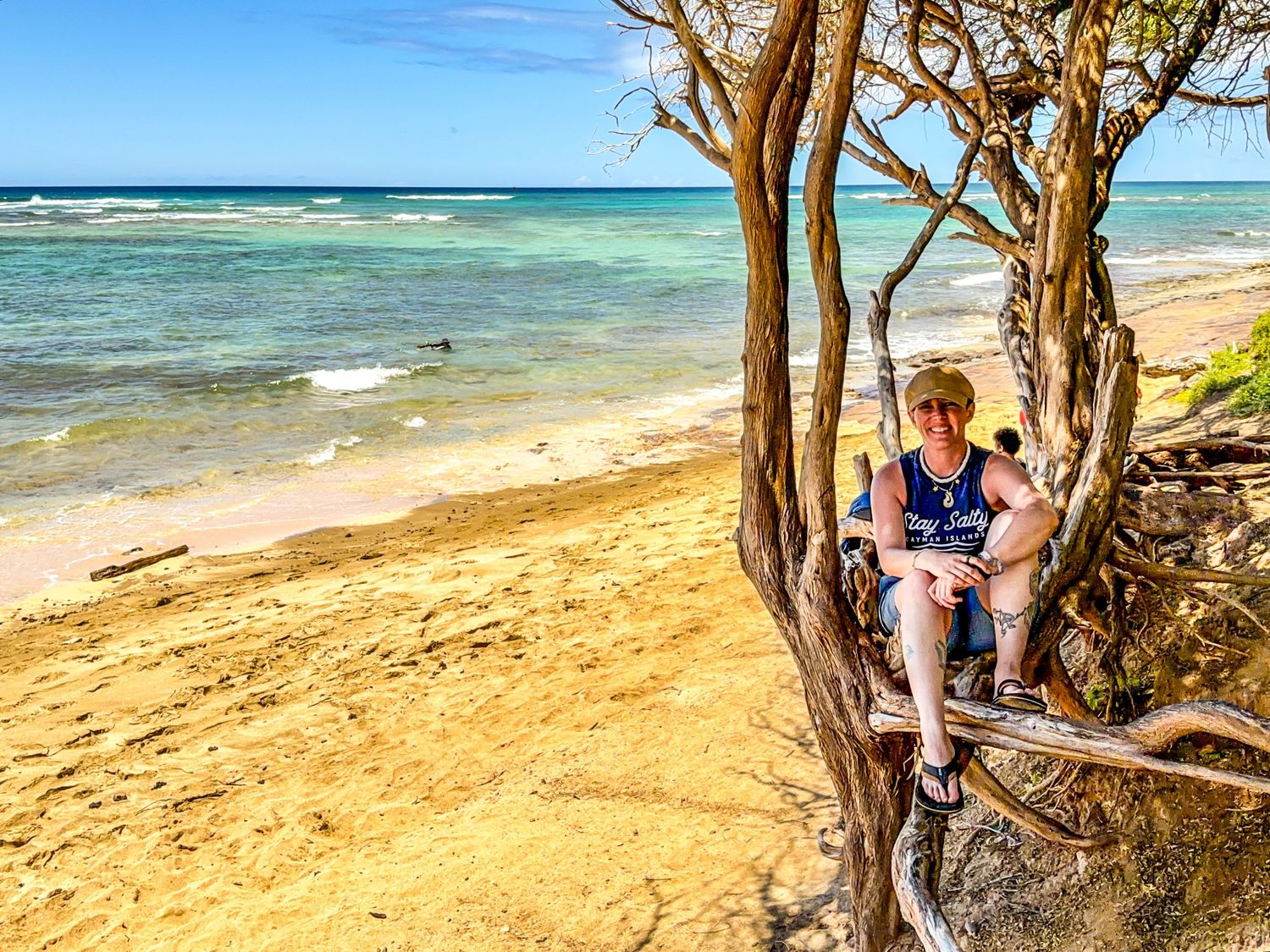 Person walking toward turquoise ocean beside a large gnarled tree on a grassy coastal landscape.