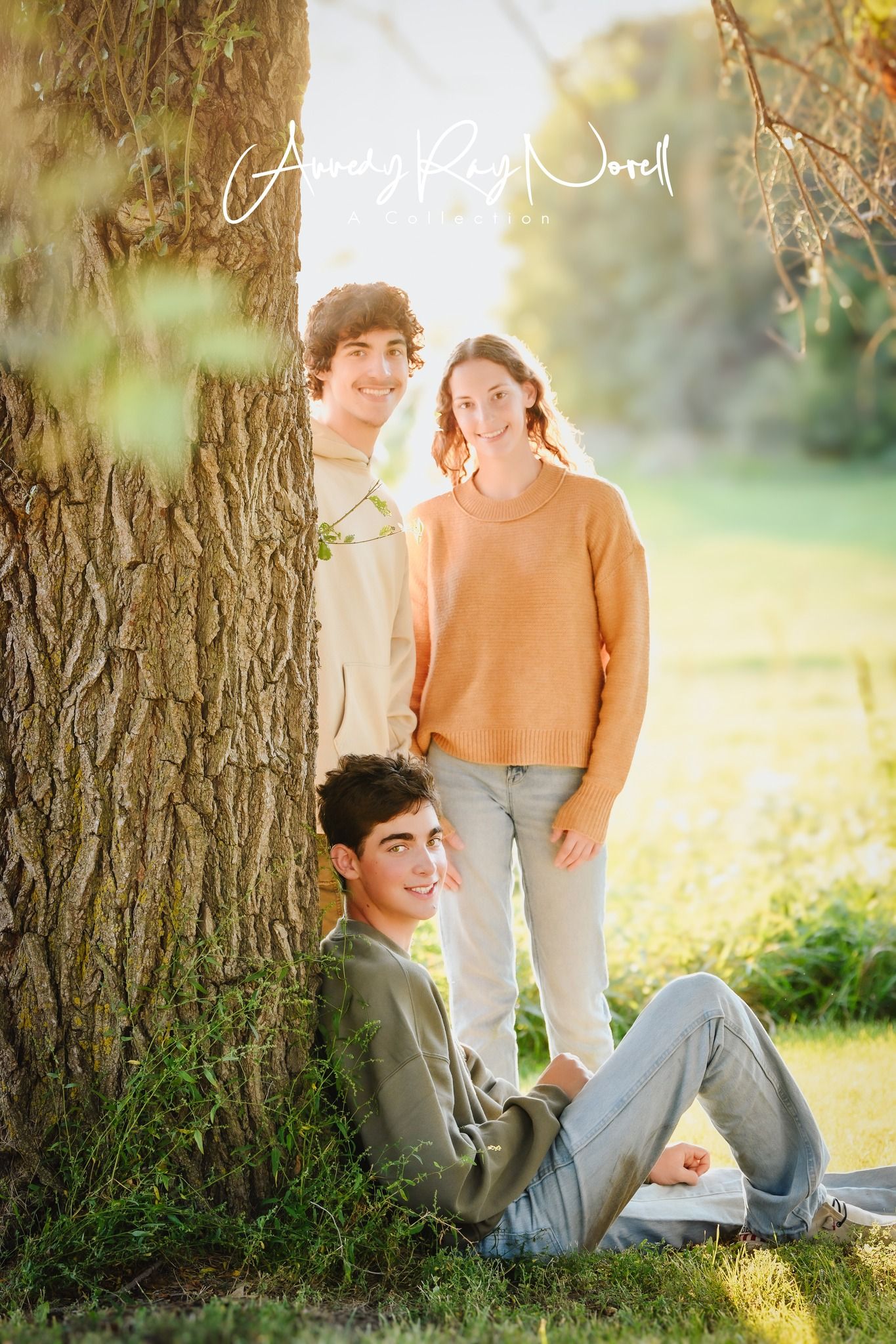 Three teens pose by a large tree in golden hour sunlight, two standing and one sitting on grass.