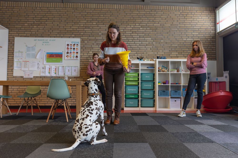A Dalmatian dog sits attentively as a girl holds a yellow folder in a classroom with two other students nearby.