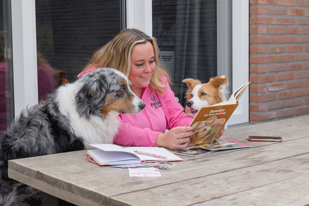 Woman in pink hoodie reading a dog training book at outdoor table with two attentive dogs beside her.