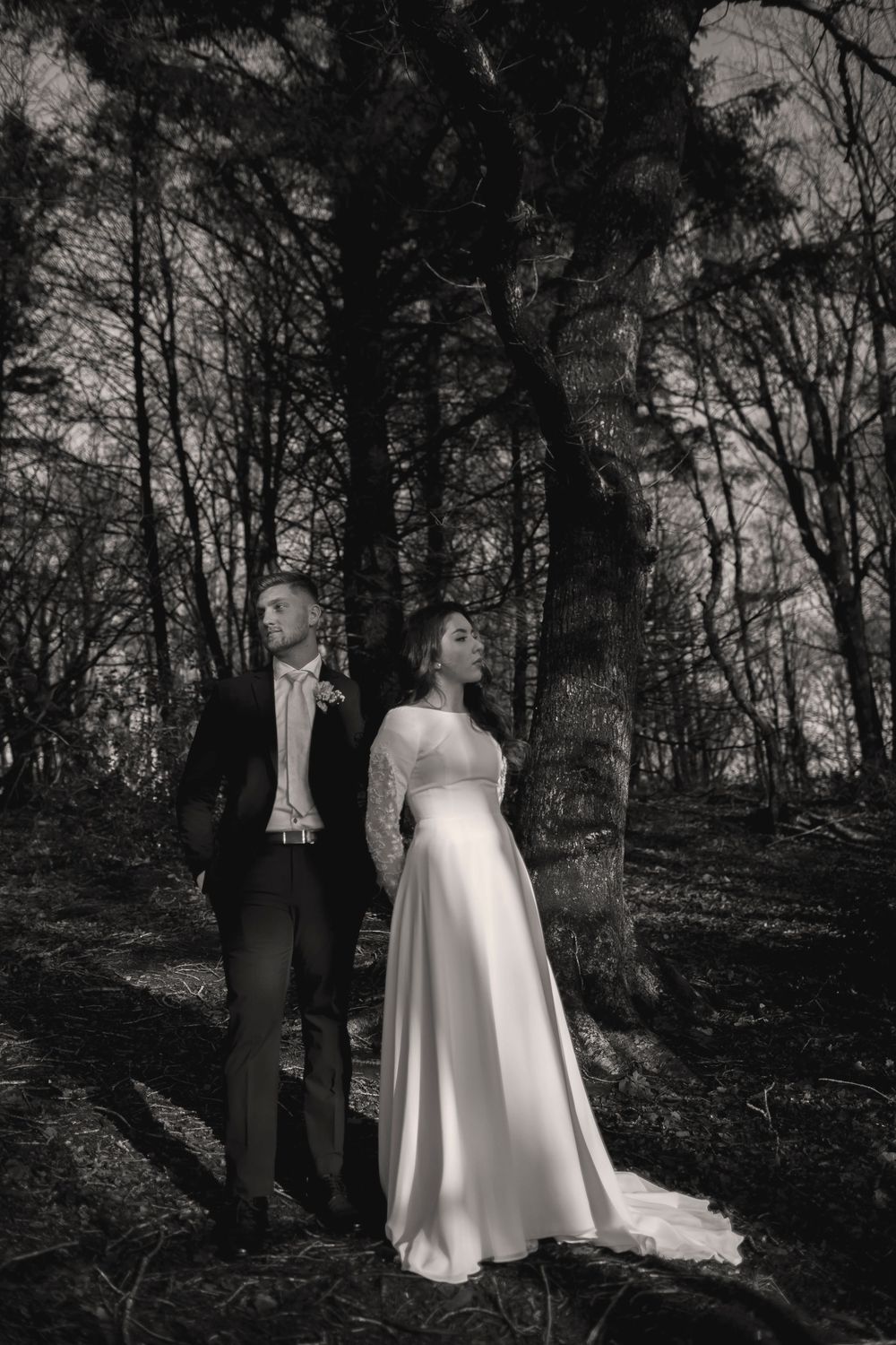editorial I skogen