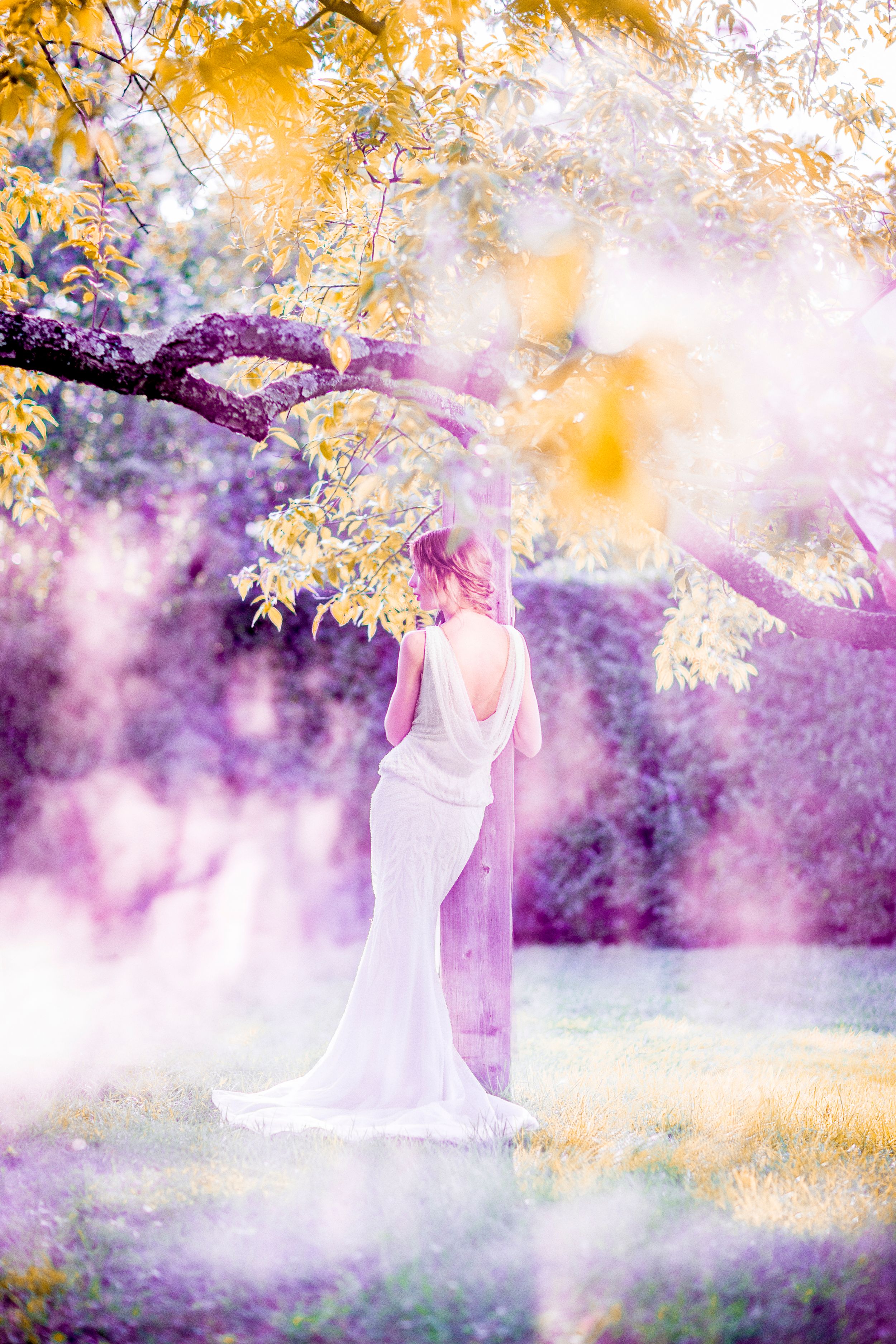 Bride in white backless gown standing under golden autumn tree surrounded by soft purple mist in dreamy garden setting.