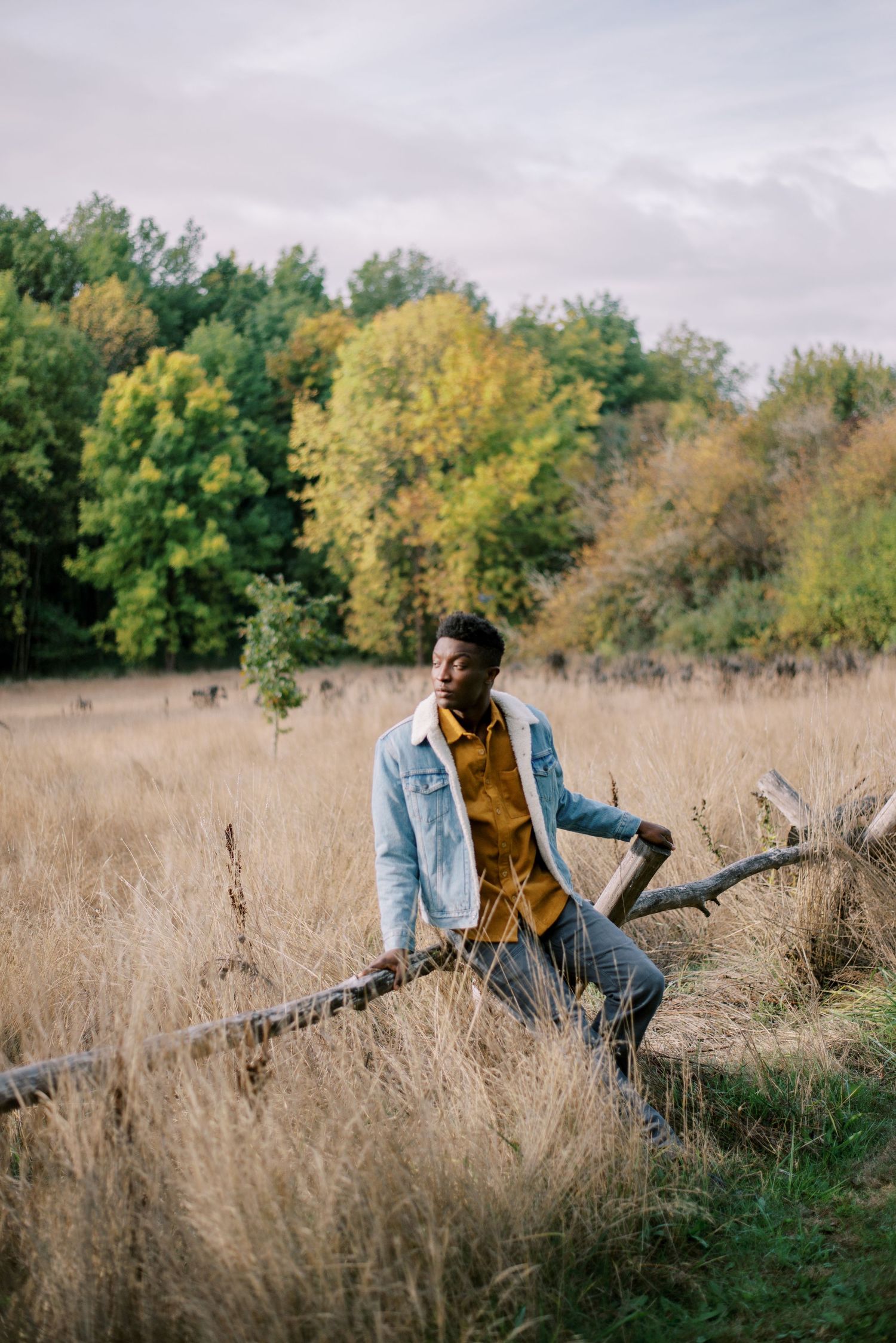 Editorial fashion portrait of black male model in field