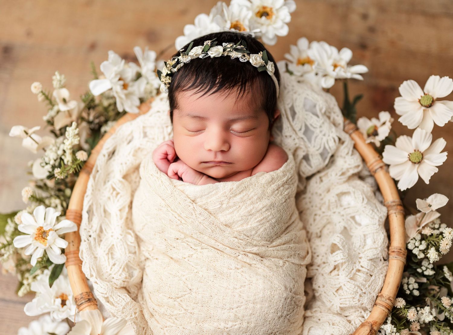 family photos family photographer baby photographer buffalo photographer child photographer childrens portraits buffalo newborn photographer