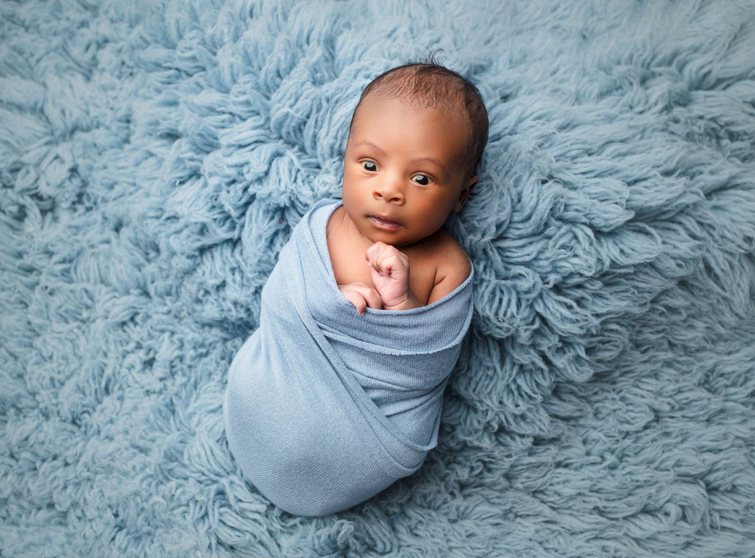 family photos family photographer baby photographer buffalo photographer child photographer childrens portraits buffalo newborn photographer