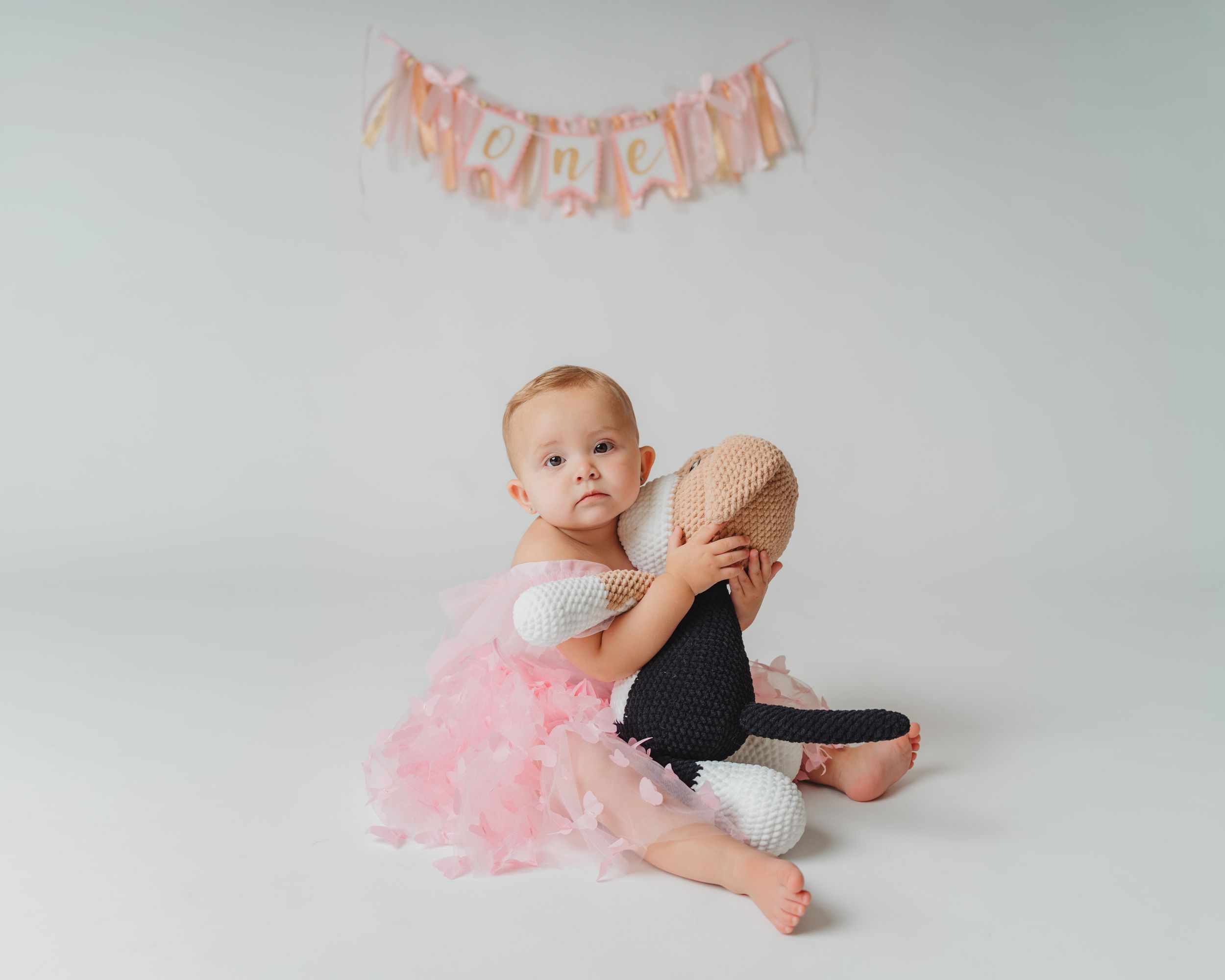 birthday studio