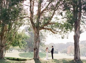 Bride and groom holding hands beneath towering eucalyptus trees in a lush green park.