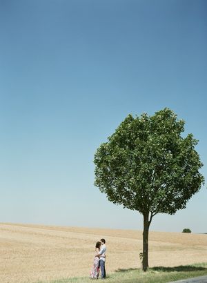 A couple embraces under a lone green tree in a golden wheat field beneath a clear blue sky.