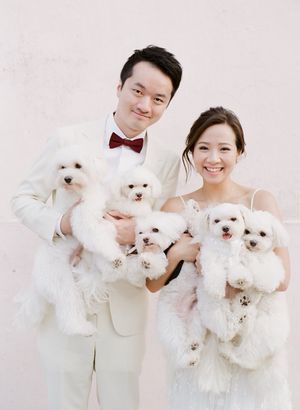 Smiling newlywed couple in white wedding attire holding four fluffy white Maltese dogs against pink backdrop.