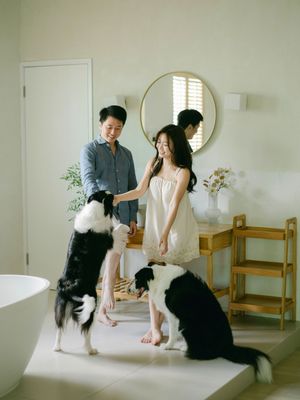 Couple plays with two border collies standing on hind legs in a bright modern bathroom.