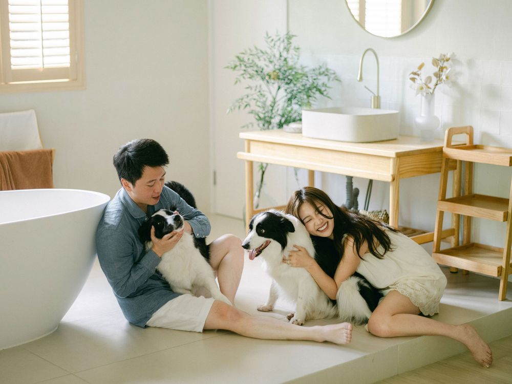 Couple sits on bathroom floor playing with two border collie dogs in bright minimalist space.