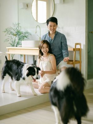 Smiling couple interacts with two border collie dogs in a bright, minimalist modern bathroom.
