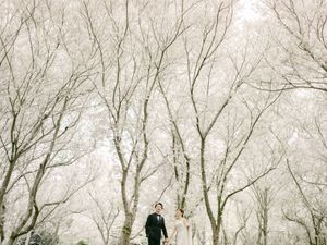 A wedding couple walks hand in hand among tall bare white trees in a dreamy winter landscape.