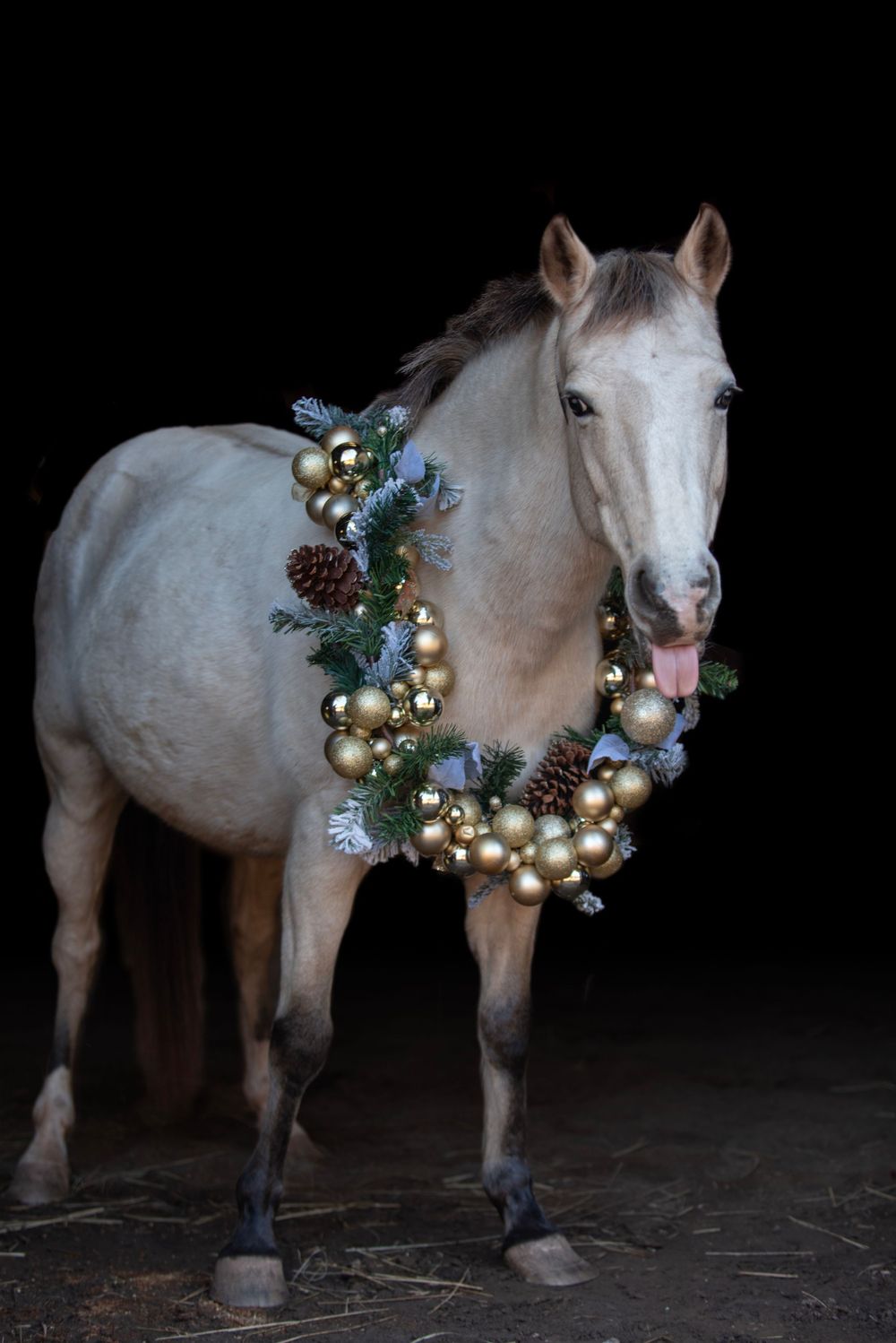 Christmas BBG