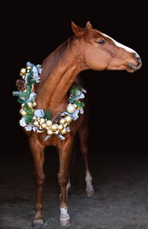 Christmas BBG