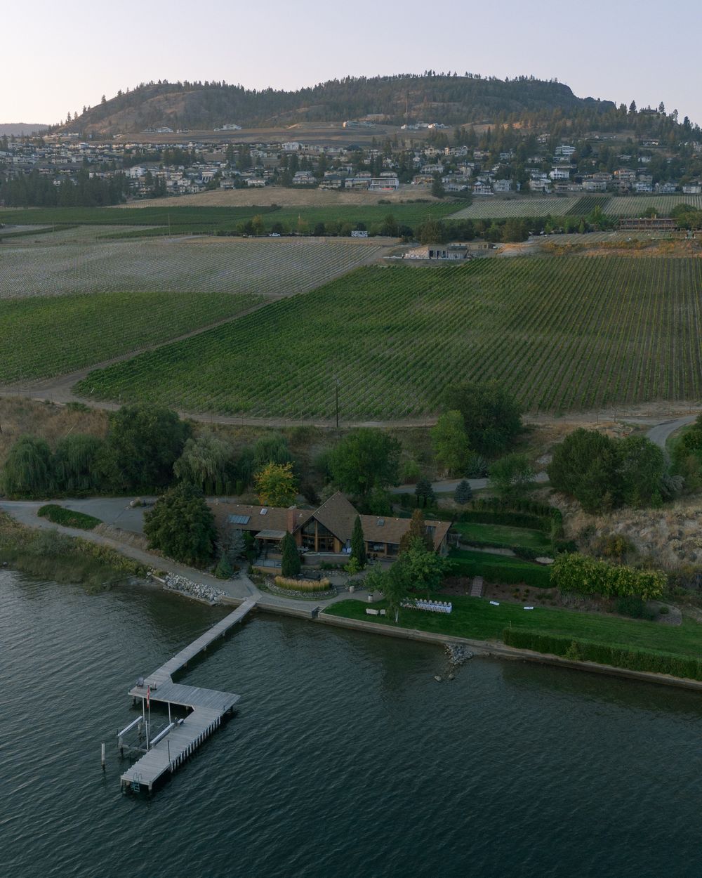 Aerial view of waterfront property with docks and vineyards in the background.