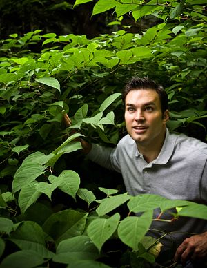 Young man surrounded by lush green leaves in dense forest undergrowth.