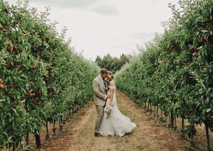 Bride and groom sharing a romantic kiss in a lush apple orchard aisle on their wedding day.