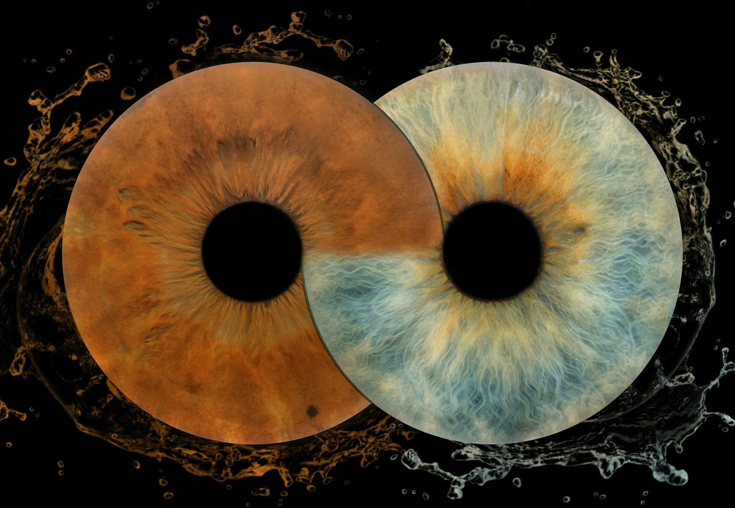 Iris Photography Appointments in Split, Croatia