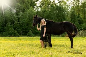 A black horse and someone in a dark dress stand together in a sunlit meadow with green trees in the background.