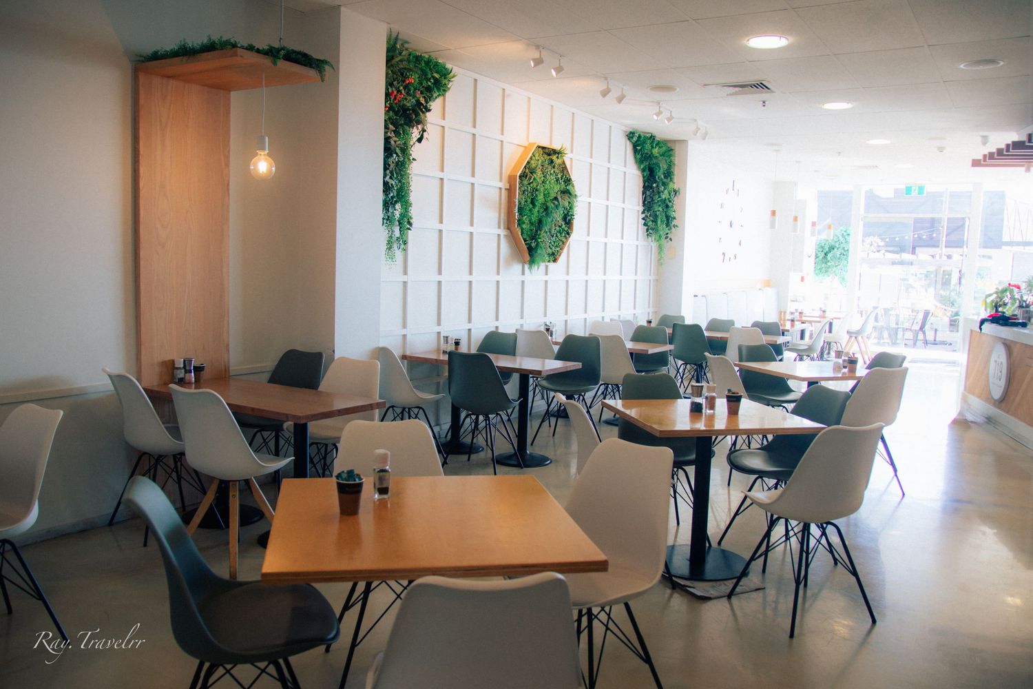 Modern cafe interior with minimalist decor, hanging plants and white walls.