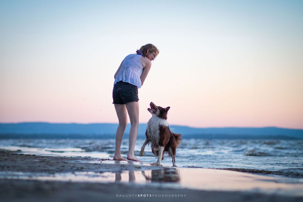 A Border Collie mix and its owner playing on the beach during blue hour at Wasaga Beach.