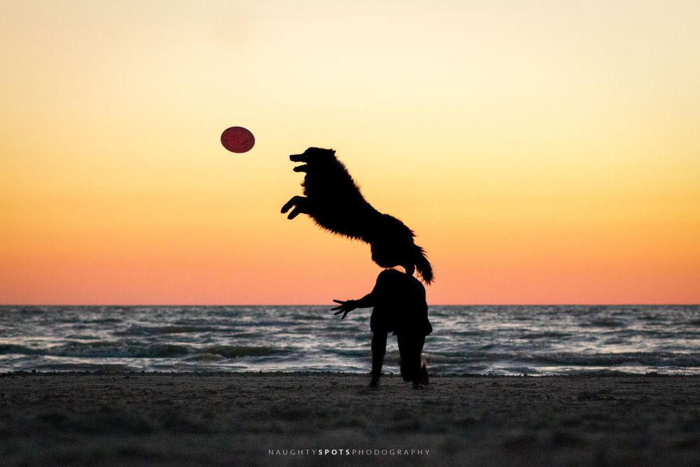 A black silhouette of a dog jumping over its owner, catching a frisbee at sunset on Wasaga Beach.